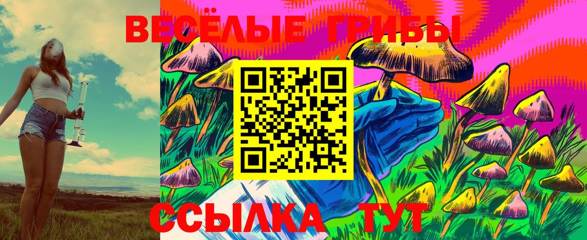 Псилоцибиновые грибы MAGIC MUSHROOMS Черкесск
