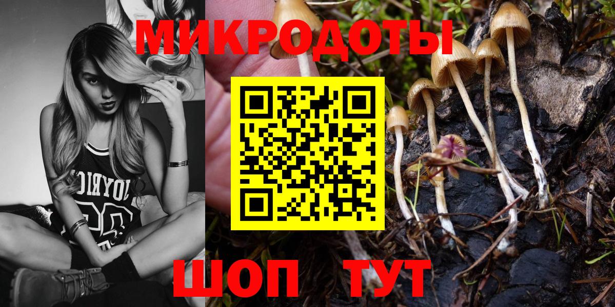 Псилоцибиновые грибы мицелий  Вход с VPN  купить закладку  Черкесск 